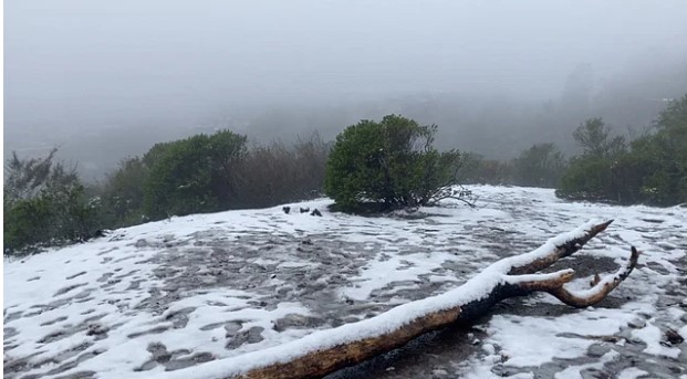 তুষারপাতে বিপর্যস্ত যুক্তরাষ্ট্র, এক হাজার ফ্লাইট বাতিল